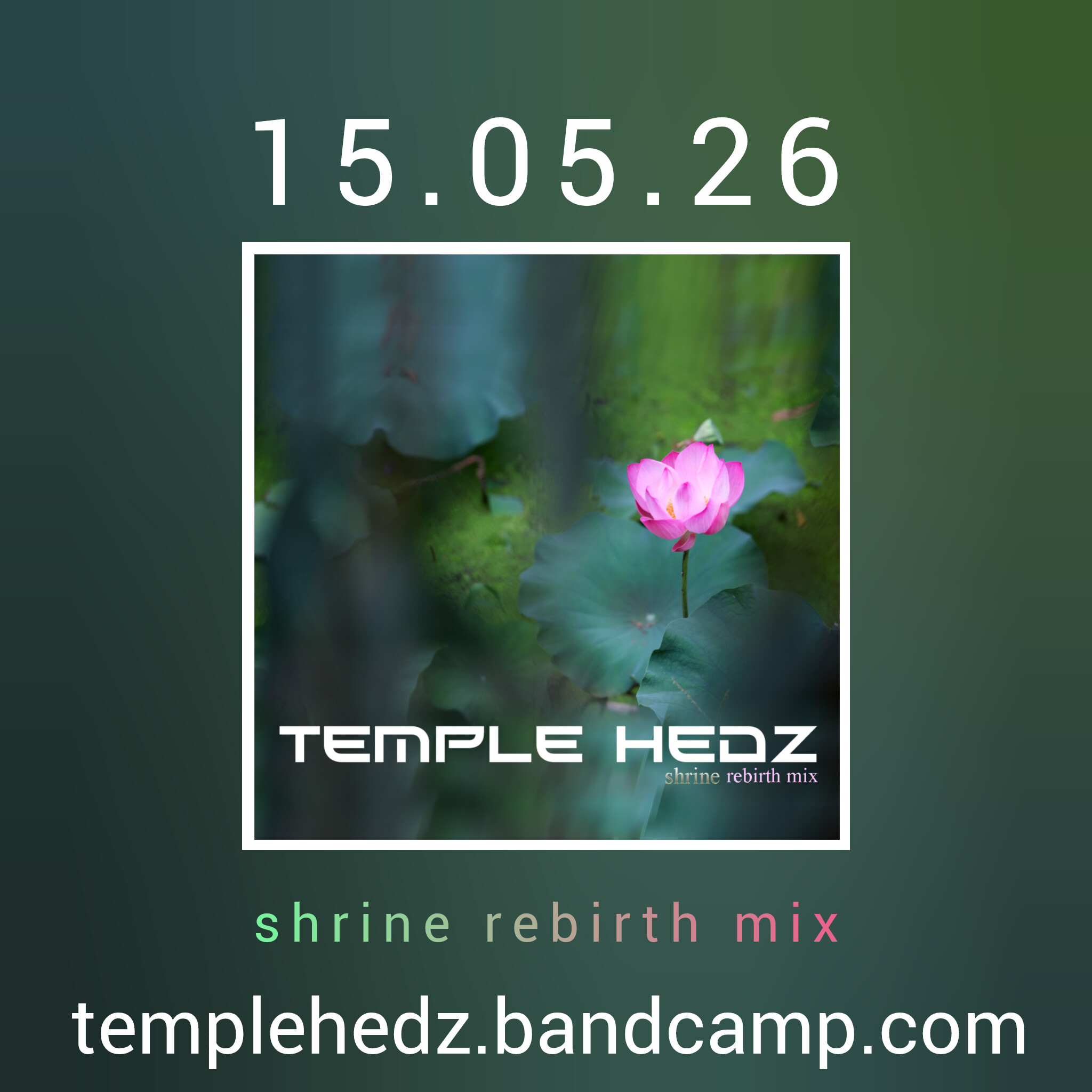 New Release - Shrine - Rebirth Mix